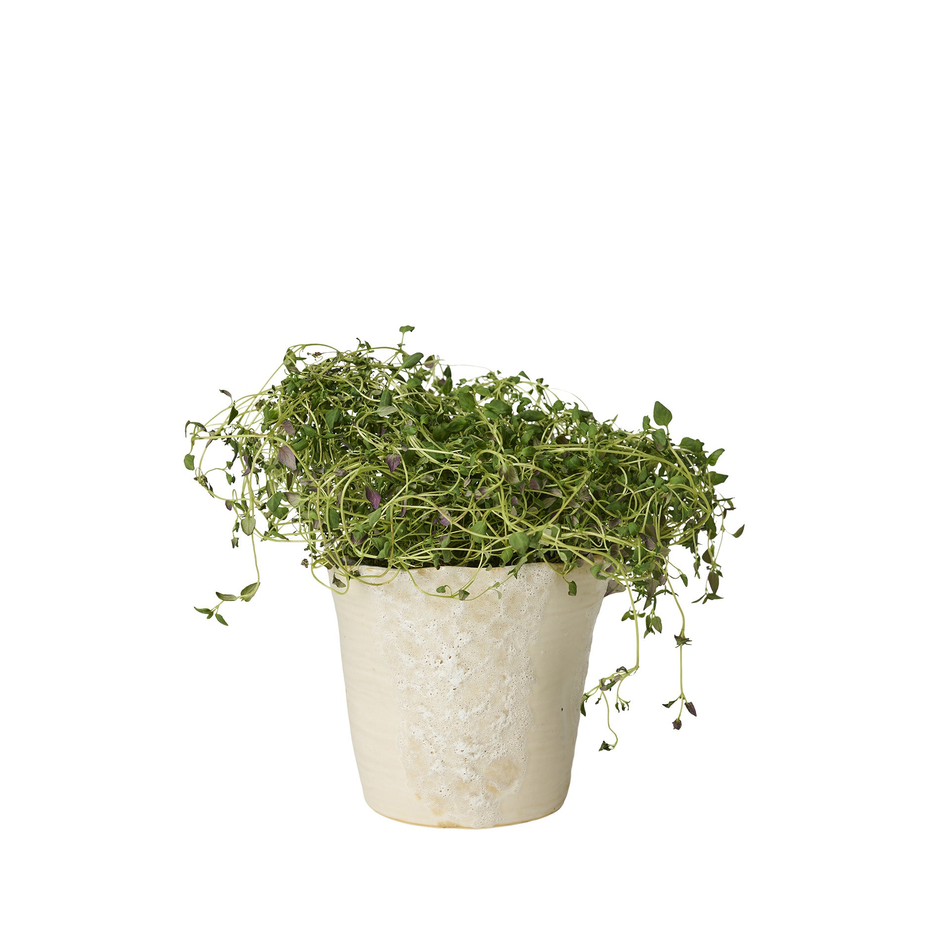 Sculpted Blumentopf D12,5 cm